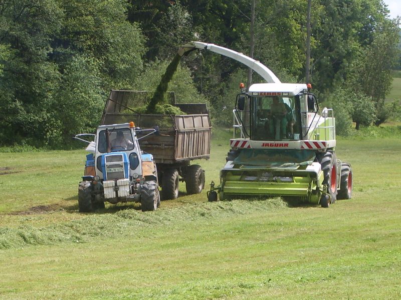 Claas Jaguar 900 mit Fortschritt ZT 303 - D 01.jpg